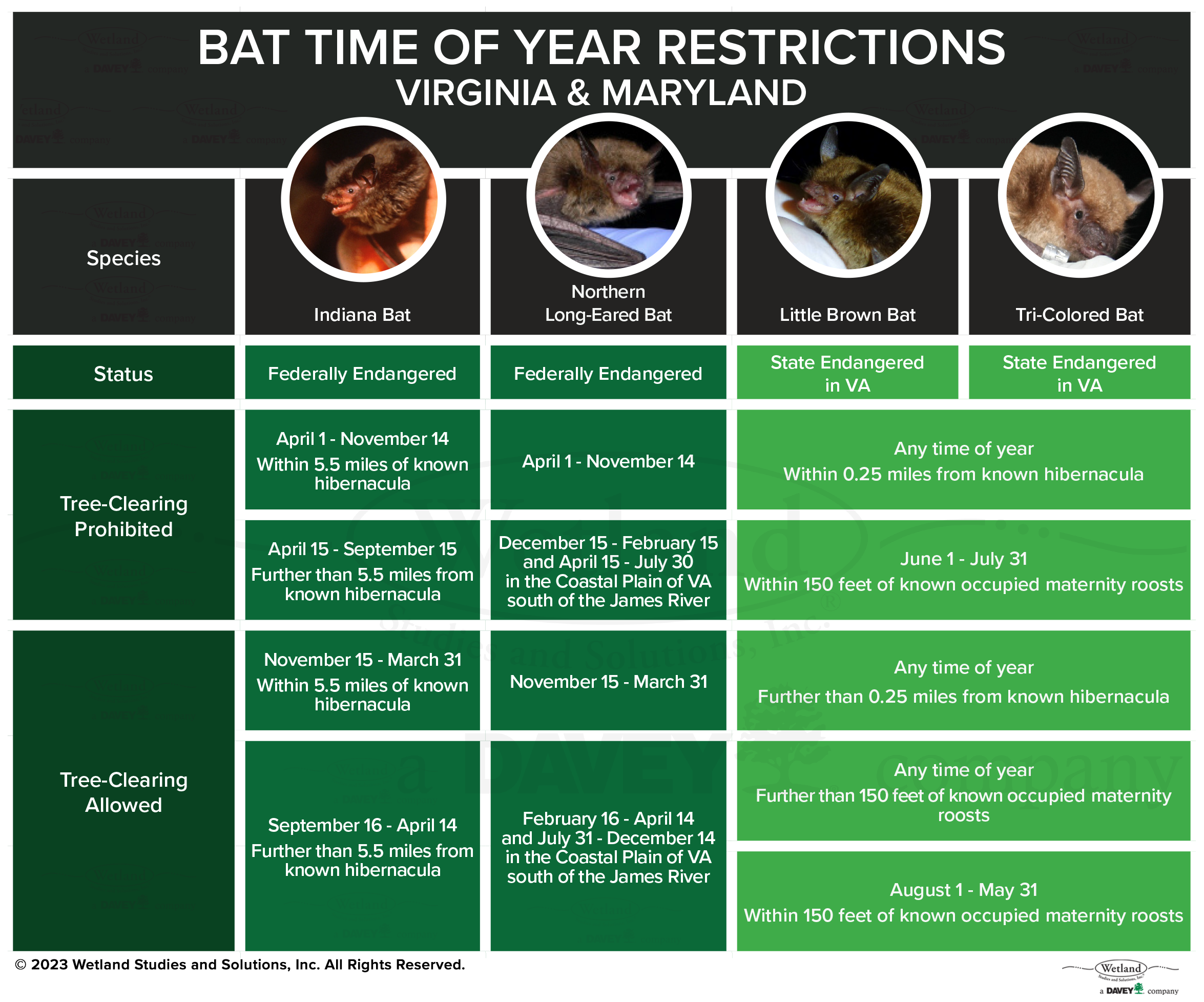 Spring Transitions - Bat Time of Restrictions - WSSI